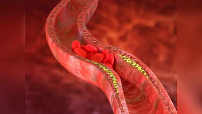 Blood Circulation: రక్తప్రసరణ సరిగ్గా జరగకపోతే.. ఈ లక్షణాలు కనిపిస్తాయి..!
