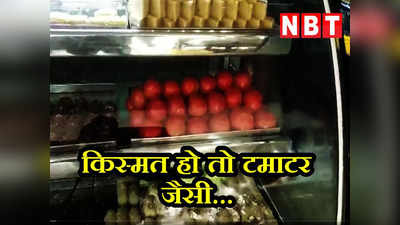 Tomato Price: तौबा- तौबा! मिठाई की दुकान पर बिकने लगा टमाटर, देखें Video