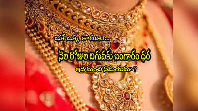 Gold Price: ఆ ఒక్క కారణంతో బంగారం ధర పతనం.. ఇప్పుడు కొనొచ్చా? నిపుణులు ఏమంటున్నారు? 