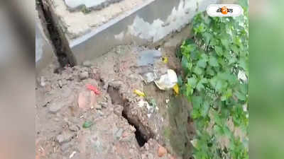 Murshidabad News : ভয়াল ভাঙন অব্যাহত সামশেরগঞ্জে, নদীগর্ভে তলিয়ে গেল বিস্তীর্ণ জমি