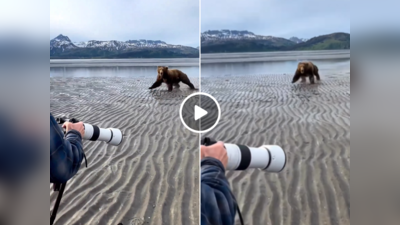 Bear Attack Video: भालू ने कर दिया फोटोग्राफर पर अटैक, शख्स ने उल्टा भालू को ही दौड़ा लिया, वीडियो वायरल