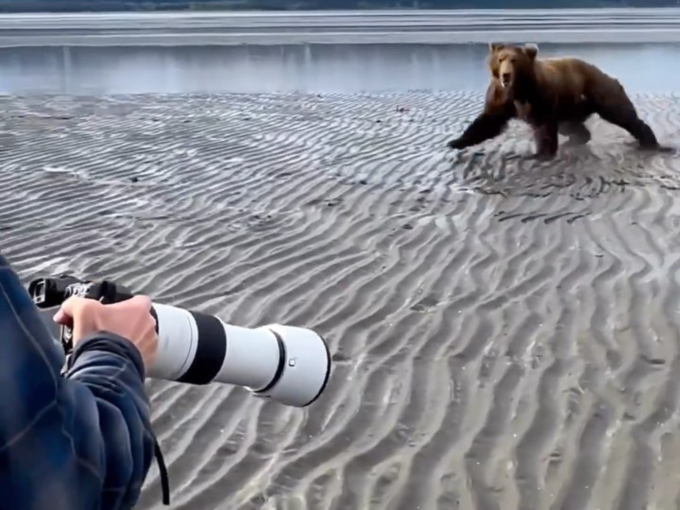 फोटोग्राफर ने ऐसे भालू को भगाया
