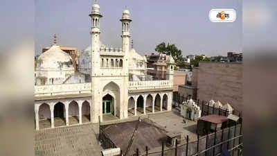 Gyanvapi Mosque Survey : কী কী উদ্ধার হল জ্ঞানবাপী মসজিদের বেসমেন্টে? প্রকাশ্যে চাঞ্চল্যকর তথ্য