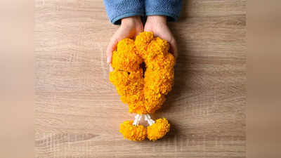 Marigold Flower: গাঁদা ফুল প্রিয় সব দেবতার! এই একটি ফুলই বাঁচাতে পারে সব বিপদ থেকে