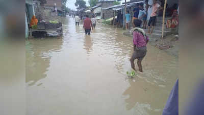 Sitamarhi Flood: उफान पर हरदी नदी, सड़क-स्कूल और खेतों में भरा पानी, आवागमन हुआ ठप