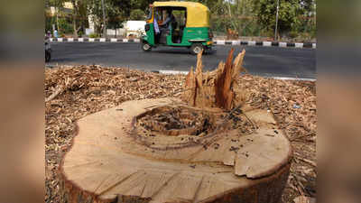 विकास के लिए दिल्ली में हर घंटे में तीन पेड़ काटे जा रहे हैं, 15 साल में कम हो गई इतनी जंगली जमीन