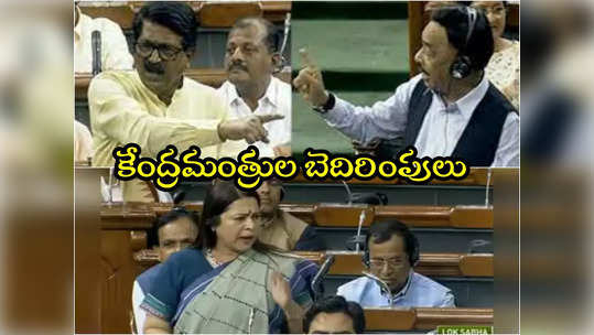 Lok Sabha: లోక్‌సభలో కేంద్రమంత్రుల బెదిరింపులు .. మొన్న మీనాక్షి లేఖి, నేడు నారాయణ్ రాణే 