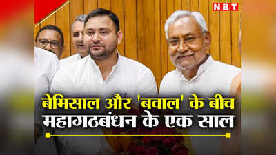 Bihar: महागठबंधन की सियासी पिच पर बैटिंग के 1 साल पूरे, नीतीश के छक्के और तेजस्वी के चौके से बनते गए राजनीतिक रन