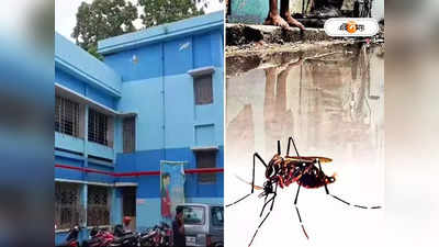 Dengue Treatment : ডেঙ্গি-সংক্রমণ বাড়ছে, বৃদ্ধি পাচ্ছে হাসপাতালে ভর্তিও