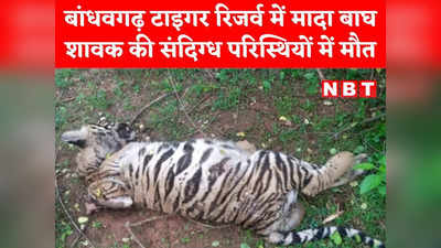 Bandhavgarh tiger reserve: बांधवगढ़ टाइगर रिजर्व में मादा बाघ शावक का मिला शव, संदिग्ध परिस्थितियों में हुई मौत