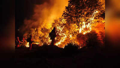 अमेरिका के हवाई के जंगल में लगी भयानक आग, कम से कम 36 लोगों की मौत, दहशत में लोग