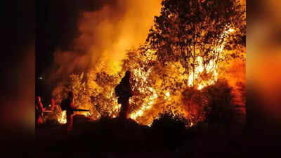 અમેરિકાના હવાઈના જંગલમાં ભયાનક આગ, 36થી વધુના મોત, લોકોમાં ફેલાયો ભય