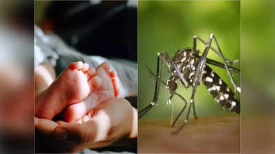 Dengue News: মলদ্বারে লাগাতার রক্তক্ষরণ, শ্বাসকষ্টে জেরবার! ডেঙ্গি আক্রান্ত ৬ মাসের শুভেচ্ছাকে নবজীবন চিকিৎসকদের