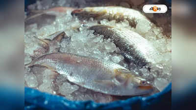 Hilsa Fish Price : ভরা মরশুমে কেন আকাশ ছোঁয়া দাম ইলিশের?