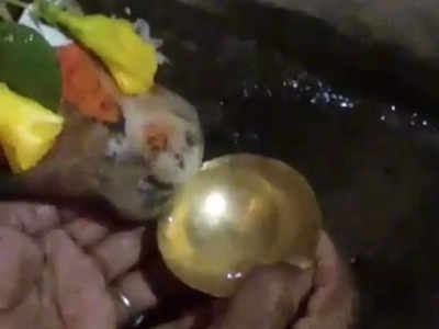 Kaushambi News: कौशांबी के शिव मंदिर में नंदी की मूर्ति पी रही जल! एसडीएम सिराथू सौम्या मिश्रा ने कहा- अफवाहों से बचें