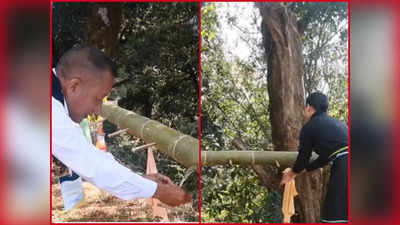 Viral Video : ಬಿದಿರಿನ ಪರಿಸರ ಸ್ನೇಹಿ ವಾಶ್‌ ಬೇಸಿನ್ :  ಈ ಸೃಜನಶೀಲತೆಯನ್ನು ಕಂಡು ಸೂಪರ್ ಎನ್ನುತ್ತಿದ್ದಾರೆ ನೆಟ್ಟಿಗರು