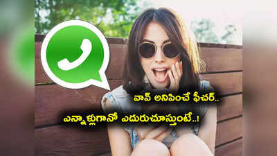 WhatsApp: వాట్సాప్‌‌లో అదిరిపోయే ఫీచర్.. ఒకే యాప్‌లో రెండు వేర్వేరు అకౌంట్లు.. ఎలాగో తెలుసా?