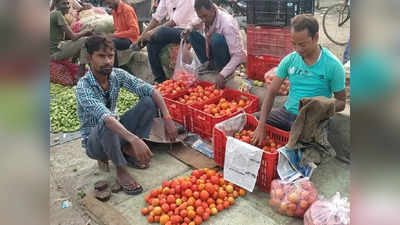 Tomato Rate: हरदोई में 50 से 60 रुपये किलो बिका टमाटर, आसमान छूकर जमीन पर लुढ़का भाव