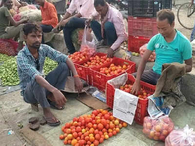 Tomato Rate: हरदोई में 50 से 60 रुपये किलो बिका टमाटर, आसमान छूकर जमीन पर लुढ़का भाव