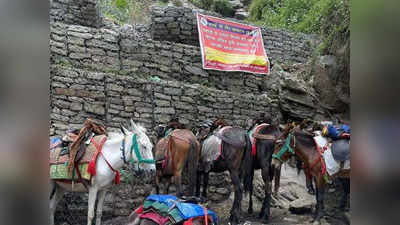 Uttarakhand: चारधाम यात्रा में एक दिन में एक ही चक्कर लगाएंगे घोड़े-खच्चर, जानिए कोर्ट तक क्यों पहुंचा ये मामला