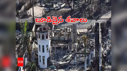 Wildfires: మంటలు బాబోయ్.. కార్చిచ్చు బీభత్సం.. ఎటు చూసినా కాలిన శవాలు, బూడిదే! 