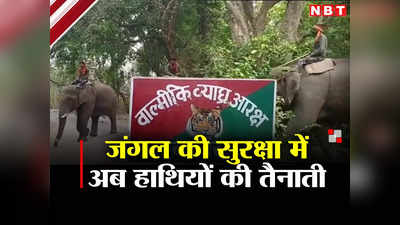 Valmiki Tiger Reserve: वीटीआर की सुरक्षा में हाथियों की तैनाती, हर इलाके की लेंगे खबर और तस्करों पर रखेंगे नजर