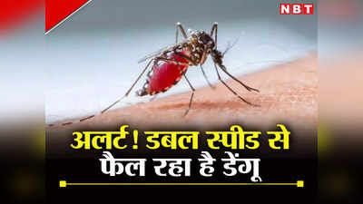 Noida News: गौतमबुद्ध नगर जिले में डेंगू का कहर जारी, 93 नए केस मिले, अलर्ट मोड में आया स्वास्थ्य विभाग