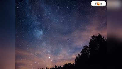 Perseid Meteor : রাতের আকাশ থেকে ঝর্নার মতো খসবে তারা! মহাজাগতিক এই দৃশ্য মিস করবেন না