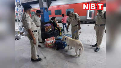 Bhopal Station Security: 15 अगस्त को लेकर रेलवे स्टेशनों पर तगड़ी चेकिंग, डॉग स्क्वायड के साथ RPF ने चप्पे-चप्पे की ले रही तलाशी