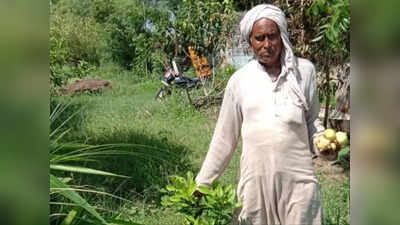 Hamirpur News: मेडिसिन की खेती ने बदली किसानों की तकदीर, जानिए कैसे कमा रहे मोटा मुनाफा?