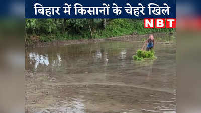 Bihar Rain Alert : बिहार में बारिश से किसानों के चेहरे खिले, अब तक करीब 87 प्रतिशत धान की रोपाई
