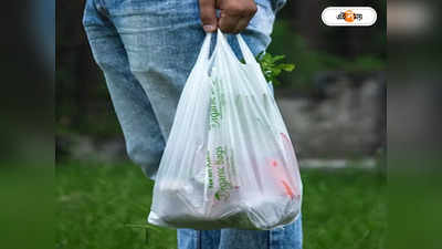 Plastic Bag : প্লাস্টিক ব্যাগ বন্ধে পুজোর পর জরিমানার পুর-ভাবনা