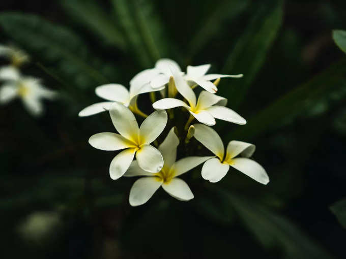 ​ತರ್ಪಣ ನೀಡುವ ದಿಕ್ಕು​