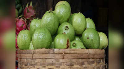 Guavas for diabetes: ఈ పండు షుగర్‌ పేషెంట్స్‌కు మెడిసిన్‌తో సమానం..!