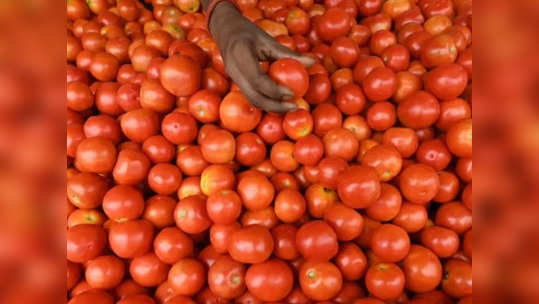 வெறும் 50 ரூபாய்க்கு தக்காளி.. அரசு சிறப்பு ஏற்பாடு!