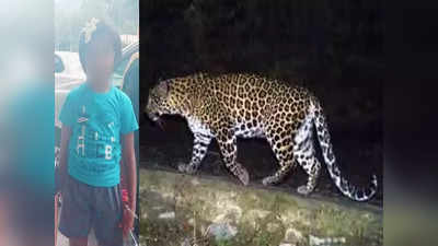 Tirumala Leopard Incident: టీటీడీ ప్రకటించిన ఎక్స్‌గ్రేషియాను తిరస్కరించిన లక్షిత ఫ్యామిలీ