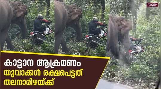 Elephant attack in muthanga: കാട്ടാന ആക്രമണത്തിൽ നിന്ന് അത്ഭുതകരമായി രക്ഷപ്പെട്ട് യുവാക്കള്‍