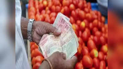 Navi Mumbai: सर्वसामान्यांना दिलासा; टोमॅटोचे भाव उतरले, किरकोळ बाजारातील दर आता...