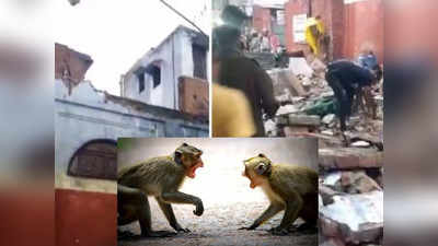 वाद माकडांचा अन् जीव गेला माणसांचा; घराची गॅलरी कोसळून पाच भाविकांचा करुण अंत