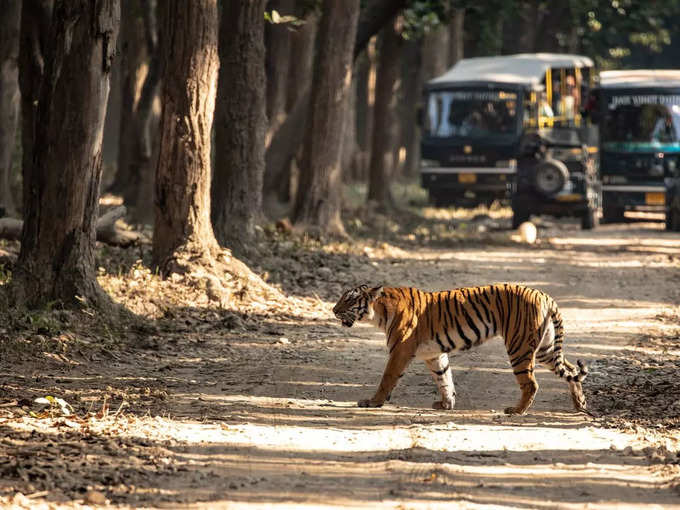 ಬನ್ನೇರುಘಟ್ಟ ಉದ್ಯಾನವನ