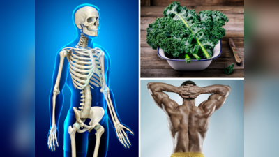 Veg Foods For Muscle Gain: घास-फूस न समझें, प्रोटीन-कैल्शियम से भरी हैं 10 चीजें, सूखे ढांचे पर चढ़ा देंगी मांस