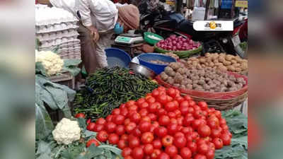 Kolkata Tomato Price: কলকাতার বাজারে টমেটোর দাম 50 টাকায় নামবে কবে? উত্তর খুঁজছে শহরবাসী