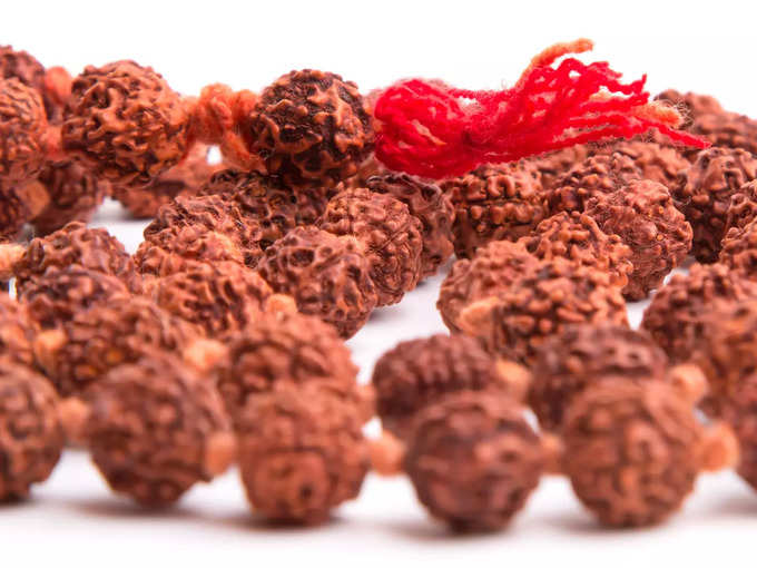 Rudraksha