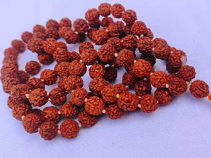 Rudraksha