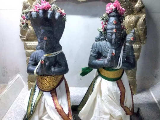 ராகு - கேது தோஷம், நாக தோஷம் உள்ளவர்கள் செல்ல வேண்டிய கோவில்