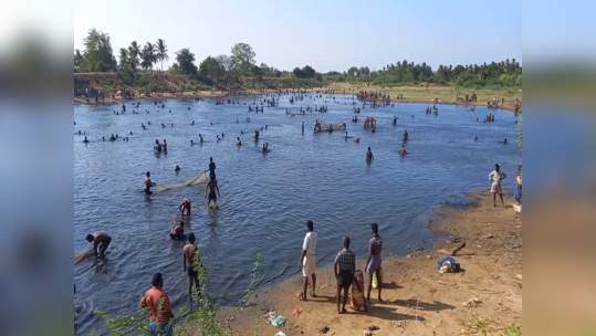 கரூரில் மாபெரும் மீன்பிடித் திருவிழா - ஏராளமானோர் பங்கேற்று கோலாகல கொண்டாட்டம்