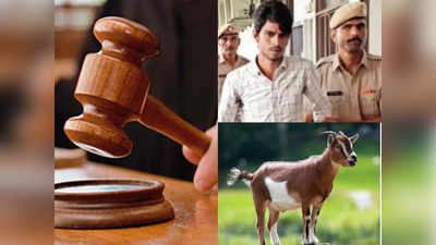 Haryana News: बकरी की गवाही से साबित हुआ रेप और मर्डर का केस, दर‍िंदे को आजीवन उम्रकैद