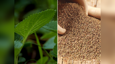 Ajwain Benefits: આ 2 રીતથી અજમાનો ઉપયોગ બની જશે દવા, પેટમાં જતા જ સ્વાસ્થ્ય કરશે દૂરસ્ત; 11 બીમારીનો ઇલાજ