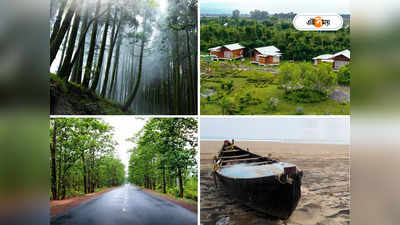 West Bengal Tourism : পুজোয় ভ্রমণের ভালো ট্যুর প্যাকেজ খুঁজছেন? অভিনব উদ্যোগ নিচ্ছে রাজ্যের পর্যটন দফতর