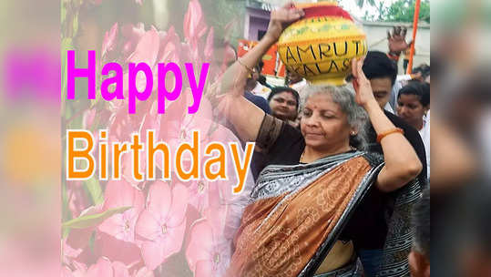 Nirmala Sitharaman Birthday: পড়াশোনায় মেধাবী, সহপাঠীকে ভালোবেসে বিয়ে! জন্মদিনে চিনুন অচেনা সীতারমনকে 